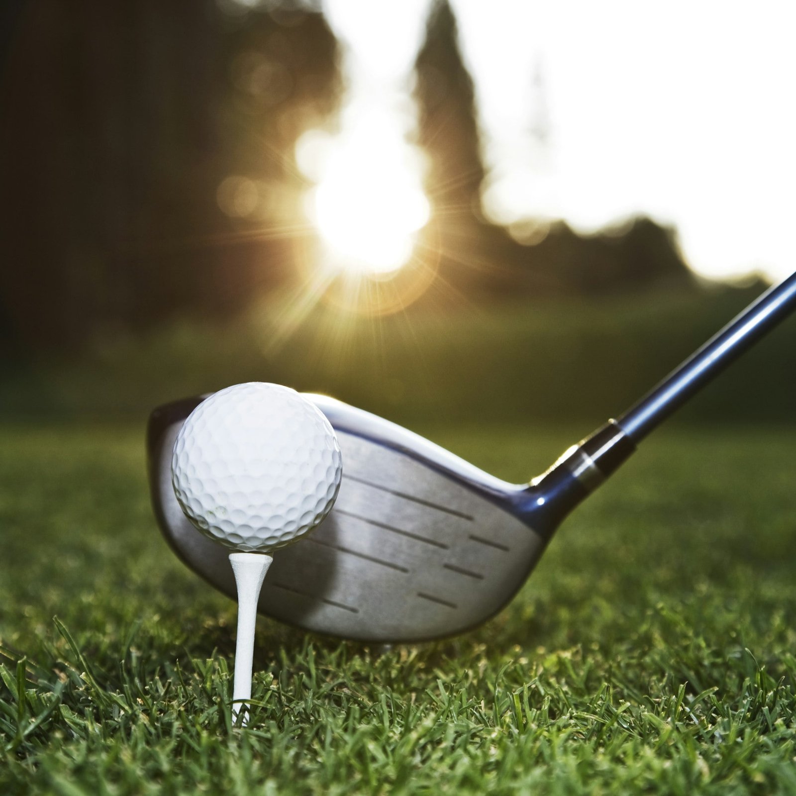 A closeup of a driver and a ball about to be driven on a golf course.