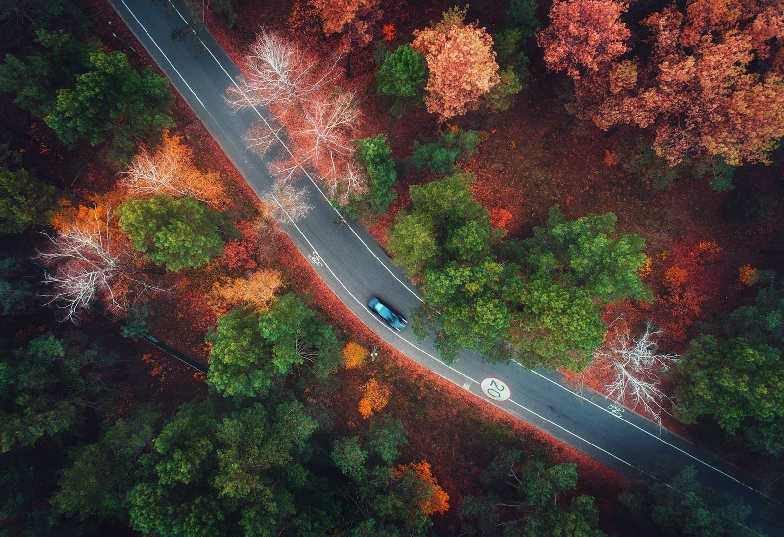 Aerial view of road with blurred car in autumn forest